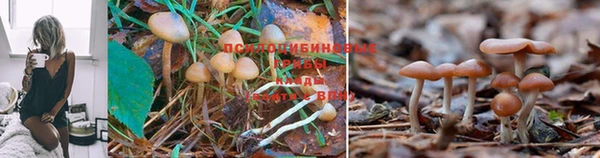 mix Алексин