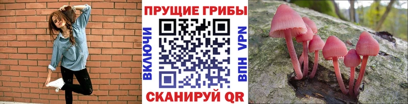 наркотики  Навашино  Псилоцибиновые грибы MAGIC MUSHROOMS 